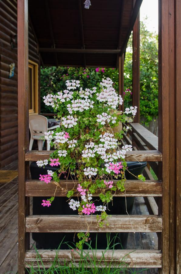 Tal Nof Cabins Manot Exterior foto